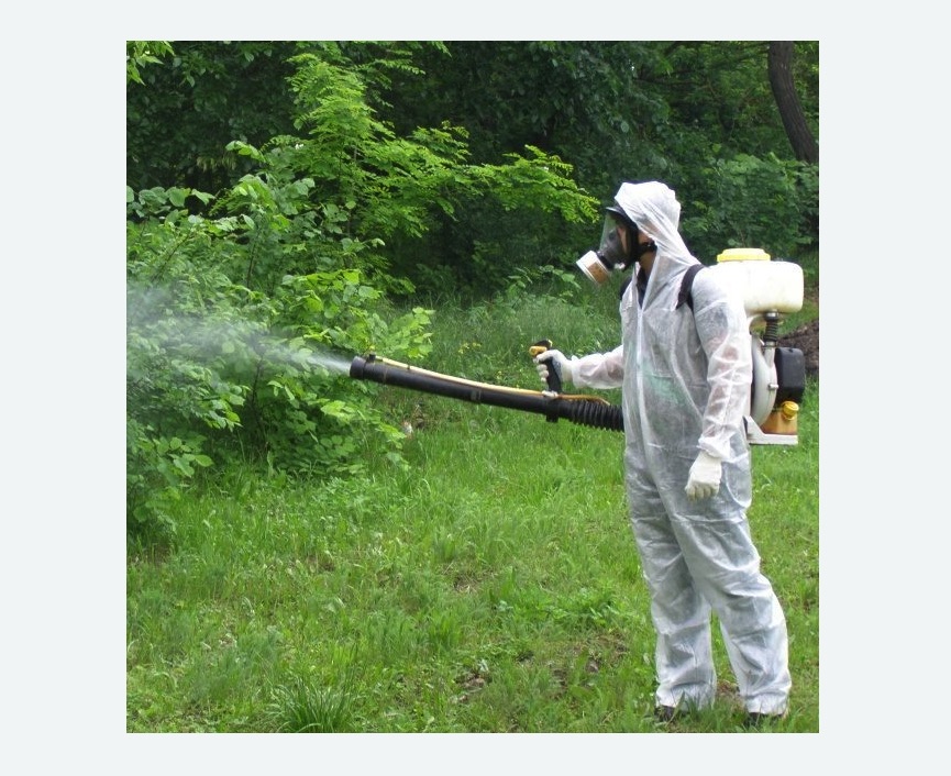 обработка территории от клещей в Лисино-Корпусе