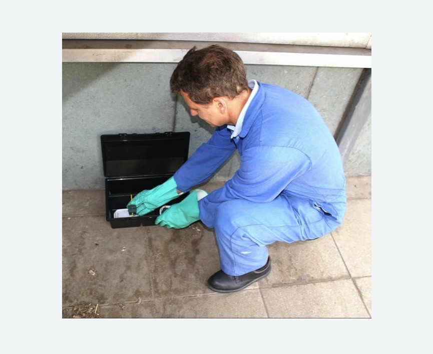 Дератизация помещения в Лисино-Корпусе Дератизация помещения