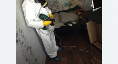 Обработка квартир от насекомых в Лисино-Корпусе