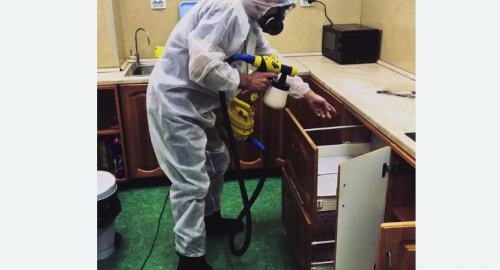 Дезинсекция квартиры. Лисино-Корпус