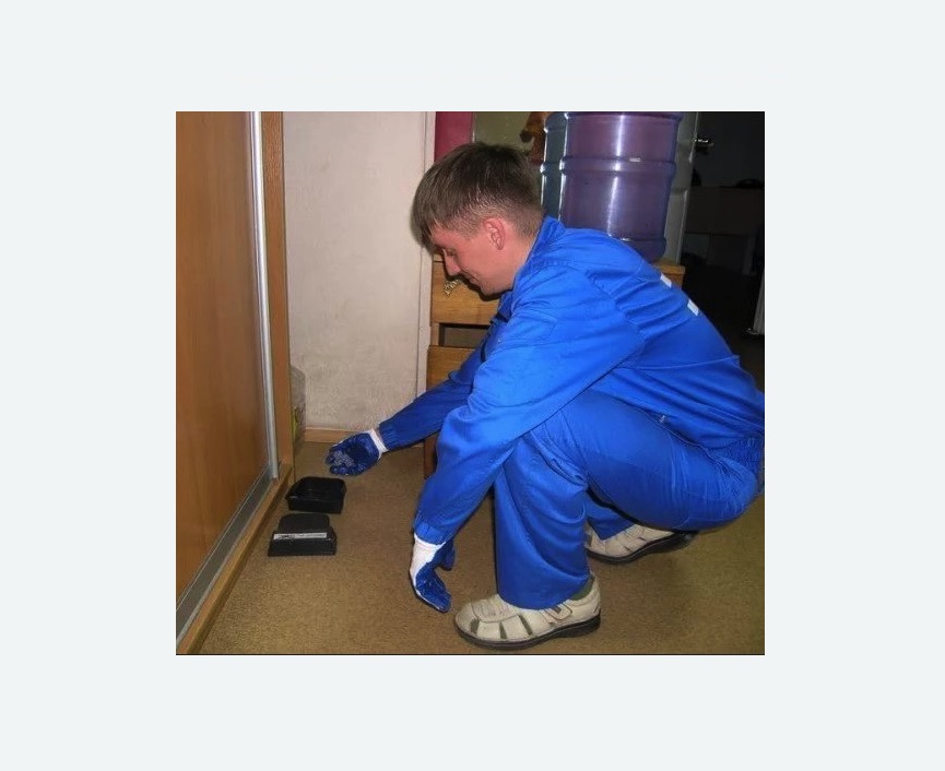 Дератизация крыс в Лисино-Корпусе