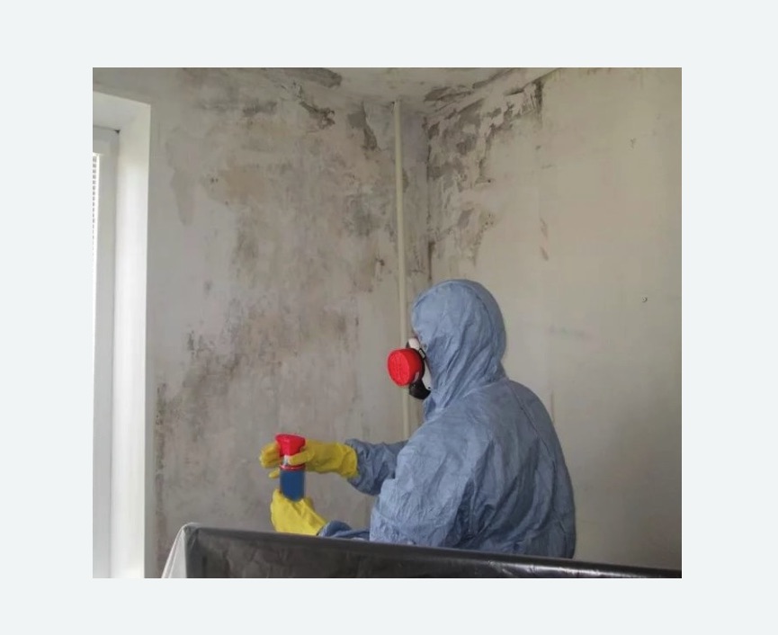 Удаление плесени в квартире Удаление плесени в квартире в Лисино-Корпусе