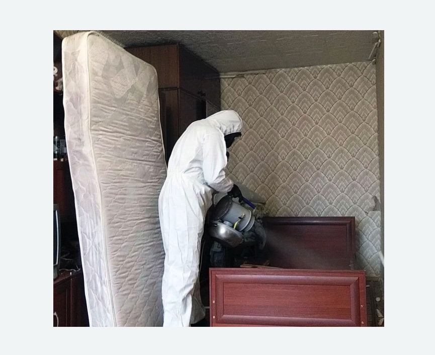 дезинфекция от клопов в Лисино-Корпусе