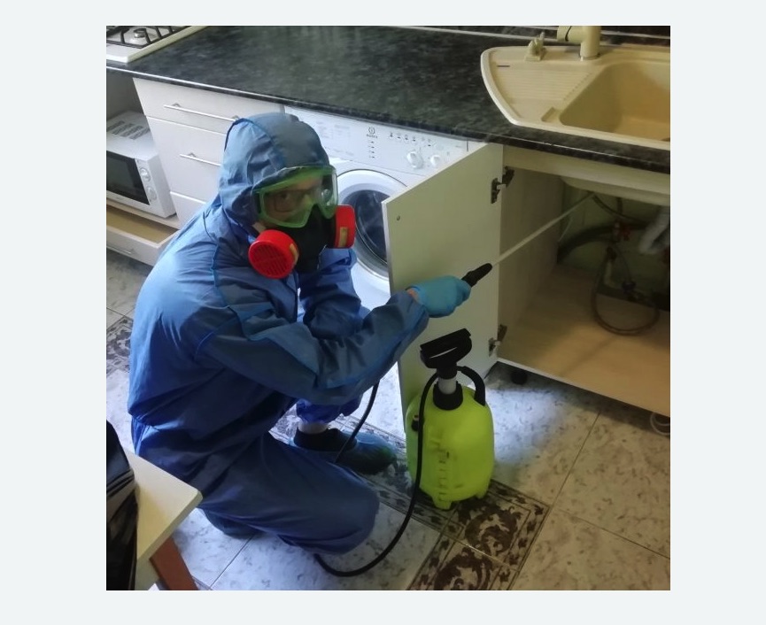 обработка от муравьев в квартире в Лисино-Корпусе