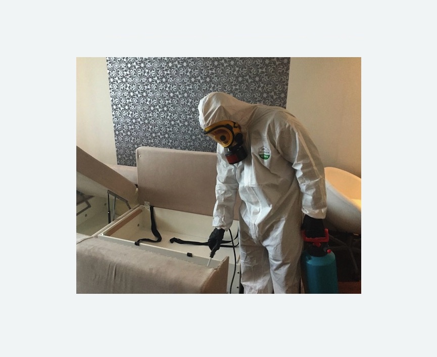 уничтожение клопов в квартире в Лисино-Корпусе