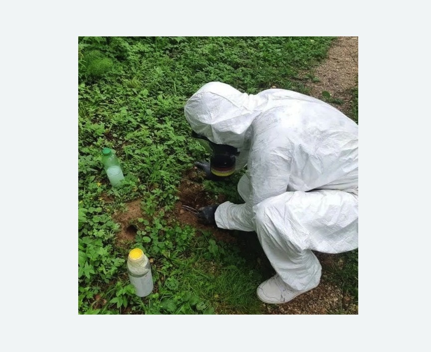 уничтожение кротов на участке в Лисино-Корпусе