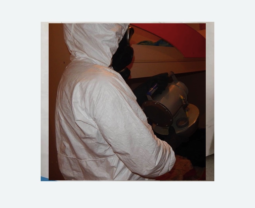 Дезинфекция от муравьев в Лисино-Корпусе