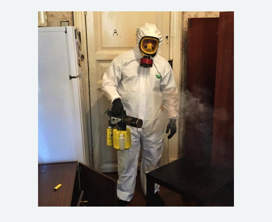 уничтожение муравьев в квартире в Лисино-Корпусе